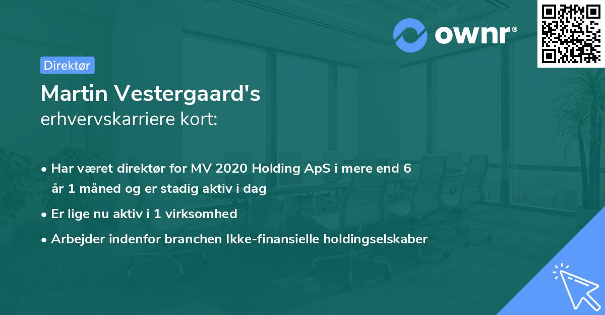 Martin Vestergaard's erhvervskarriere kort