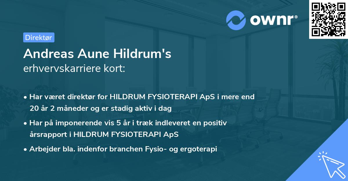 Andreas Aune Hildrum's erhvervskarriere kort