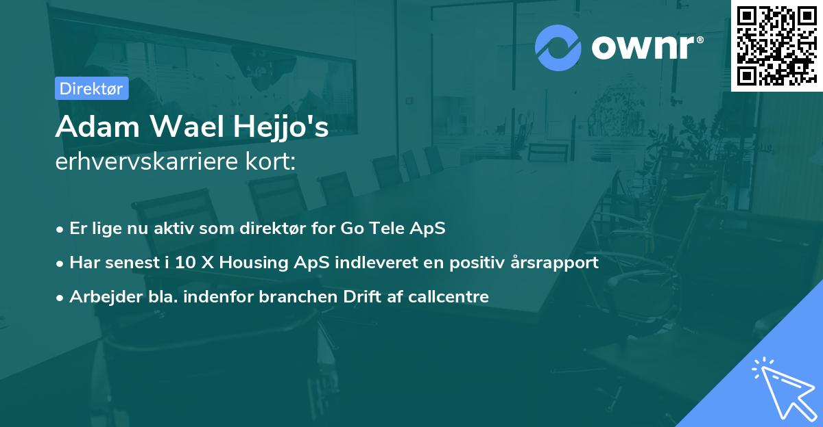 Adam Wael Hejjo's erhvervskarriere kort