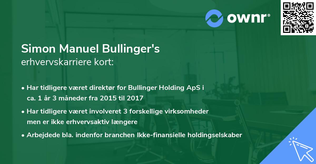 Simon Manuel Bullinger's erhvervskarriere kort