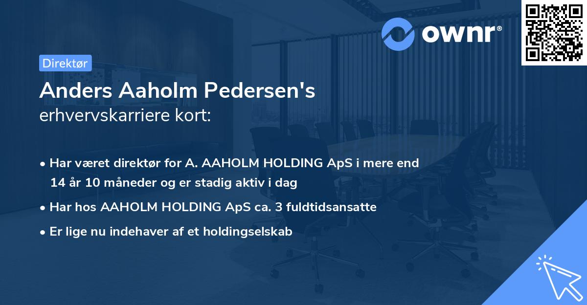 Anders Aaholm Pedersen's erhvervskarriere kort