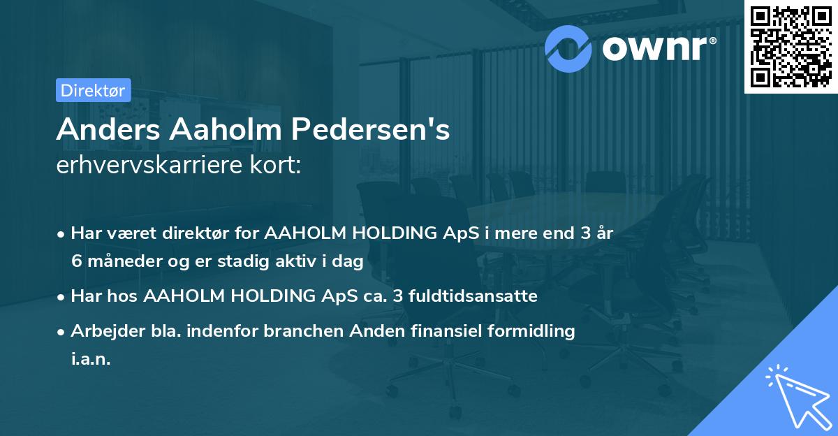 Anders Aaholm Pedersen's erhvervskarriere kort