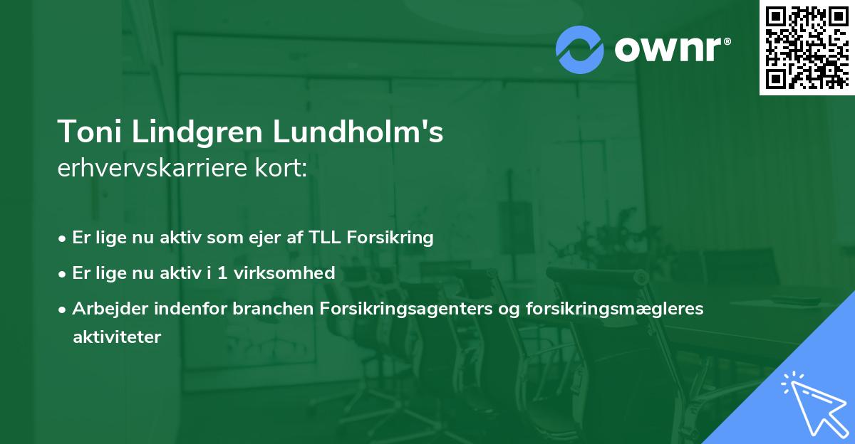 Toni Lindgren Lundholm's erhvervskarriere kort