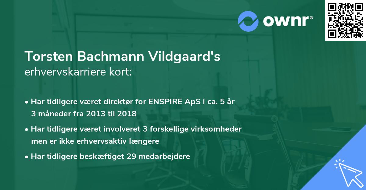 Torsten Bachmann Vildgaard's erhvervskarriere kort