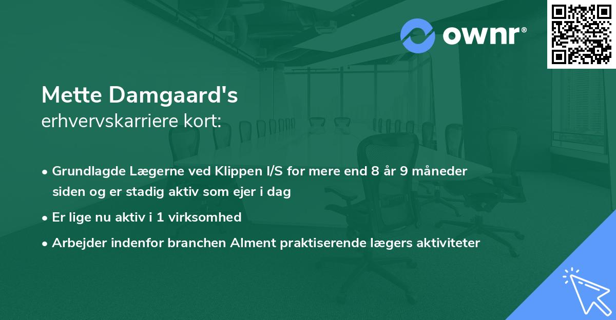 Mette Damgaard's erhvervskarriere kort
