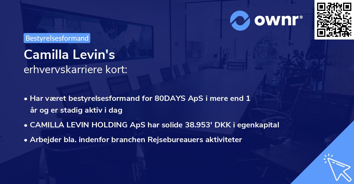 Camilla Levin's erhvervskarriere kort
