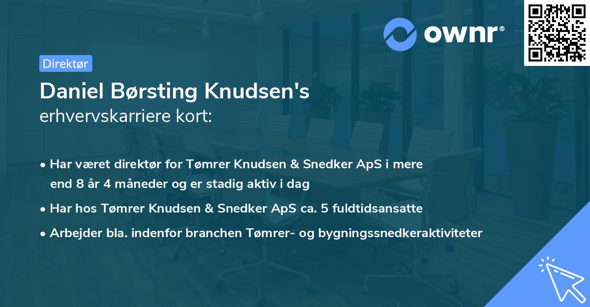 Daniel Børsting Knudsen's erhvervskarriere kort