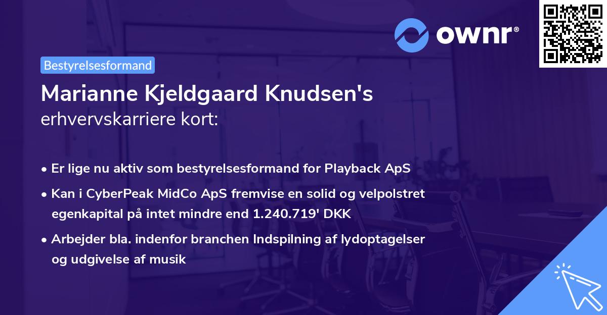 Marianne Kjeldgaard Knudsen's erhvervskarriere kort
