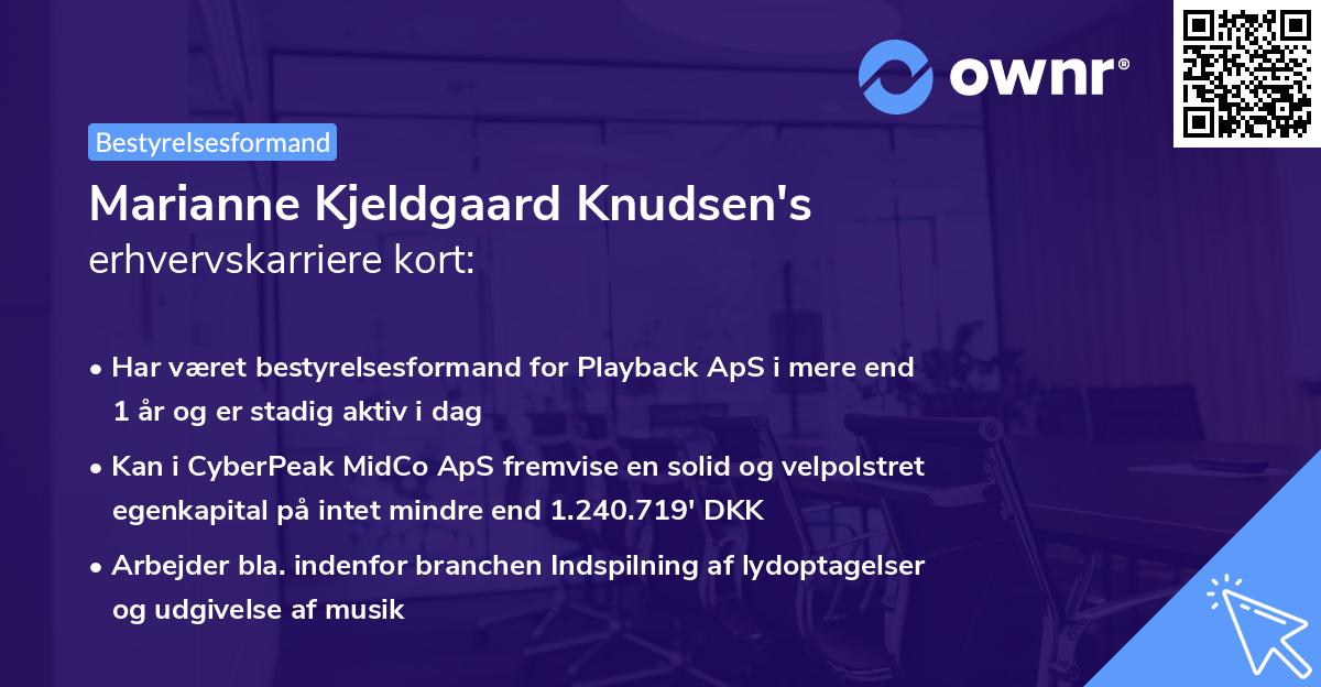 Marianne Kjeldgaard Knudsen's erhvervskarriere kort