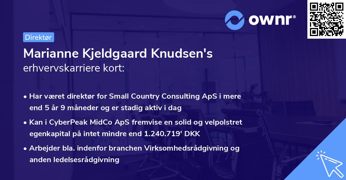 Marianne Kjeldgaard Knudsen's erhvervskarriere kort