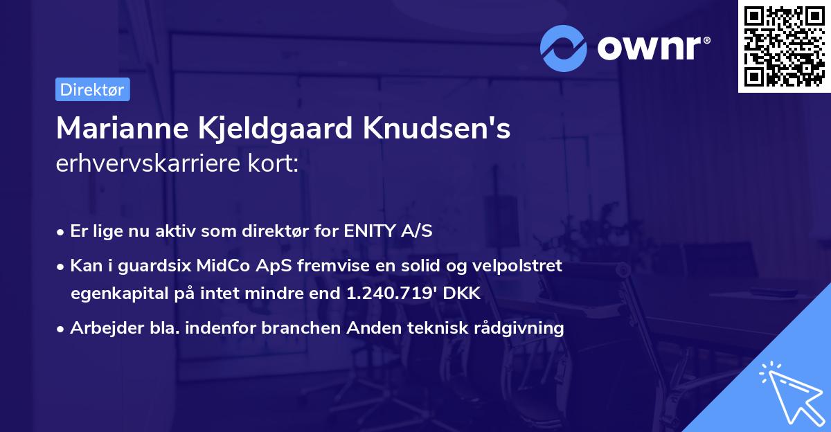 Marianne Kjeldgaard Knudsen's erhvervskarriere kort