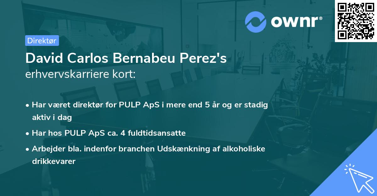David Carlos Bernabeu Perez's erhvervskarriere kort