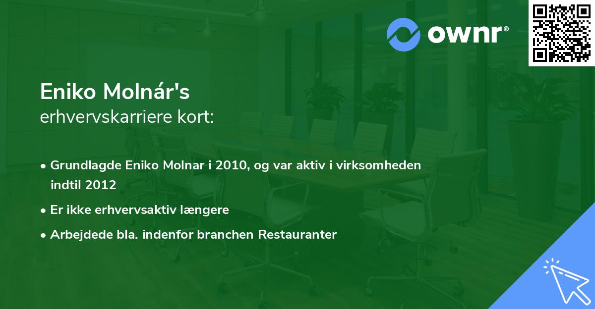 Eniko Molnár's erhvervskarriere kort