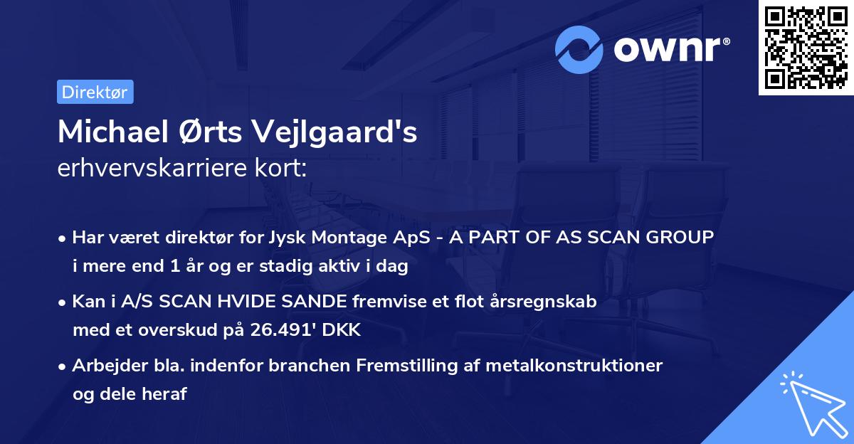Michael Ørts Vejlgaard's erhvervskarriere kort