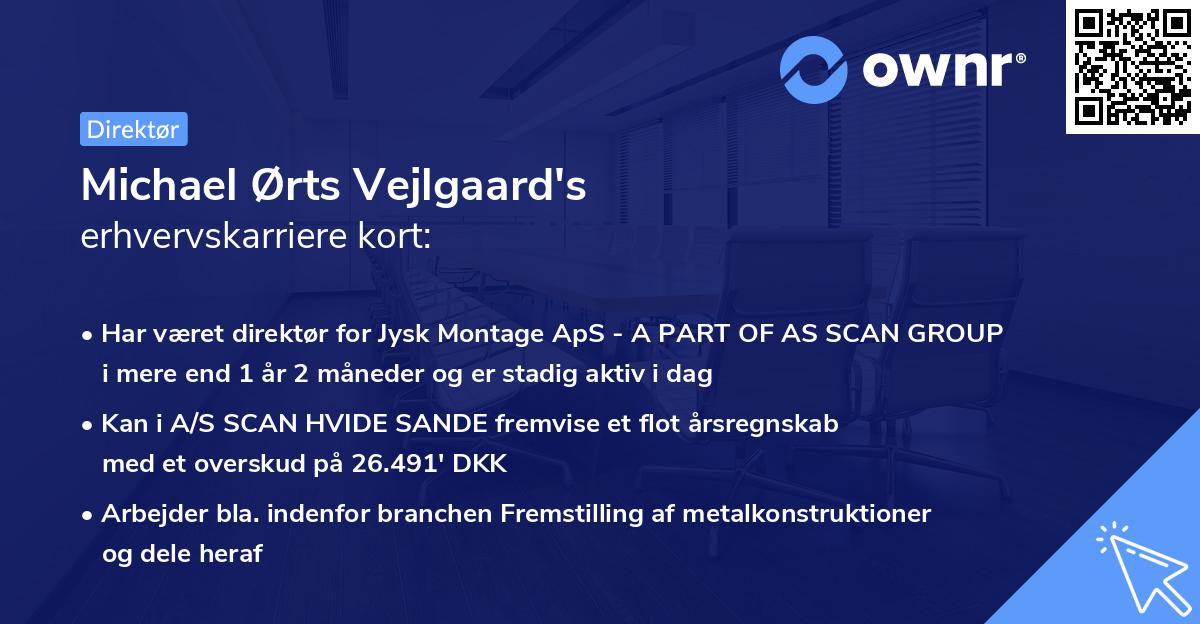 Michael Ørts Vejlgaard's erhvervskarriere kort