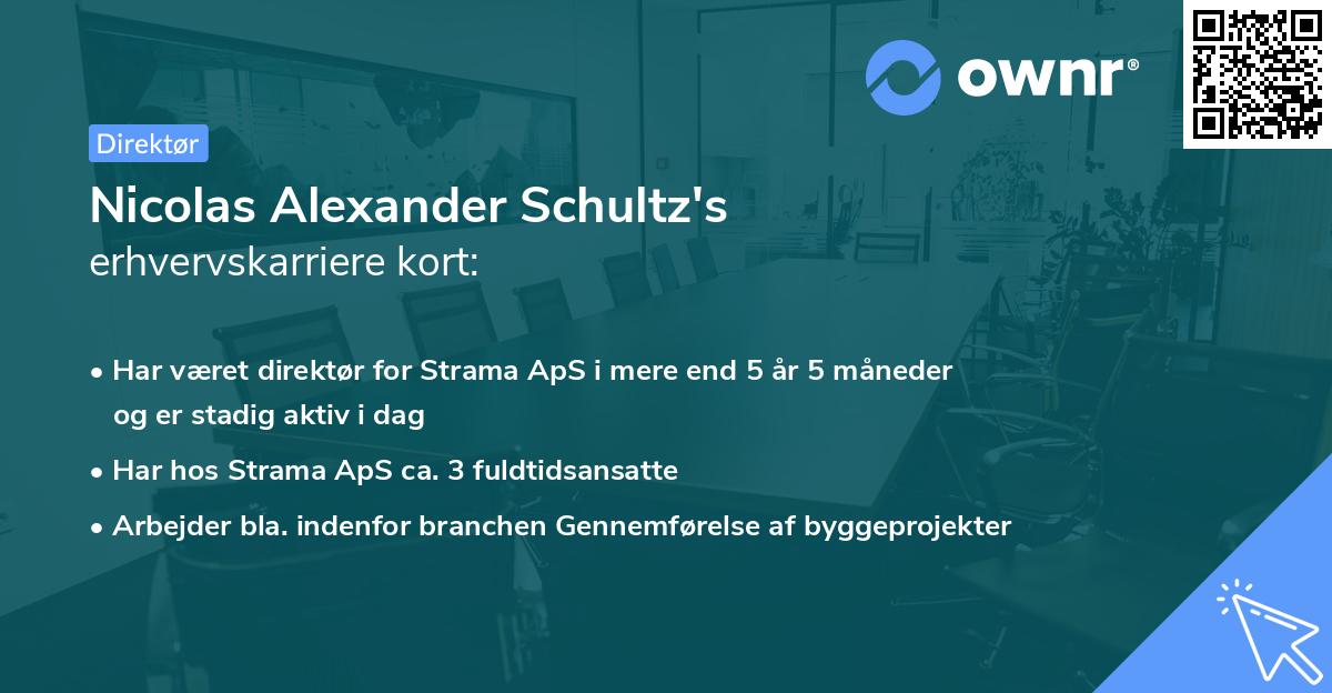 Nicolas Alexander Schultz's erhvervskarriere kort