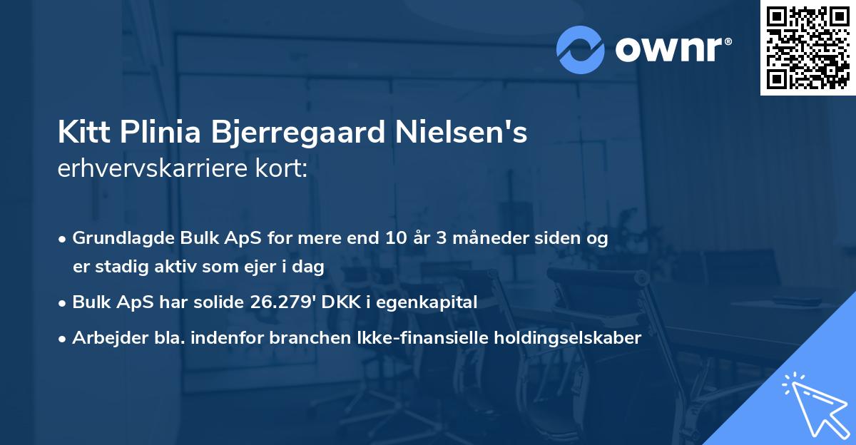 Kitt Plinia Bjerregaard Nielsen's erhvervskarriere kort