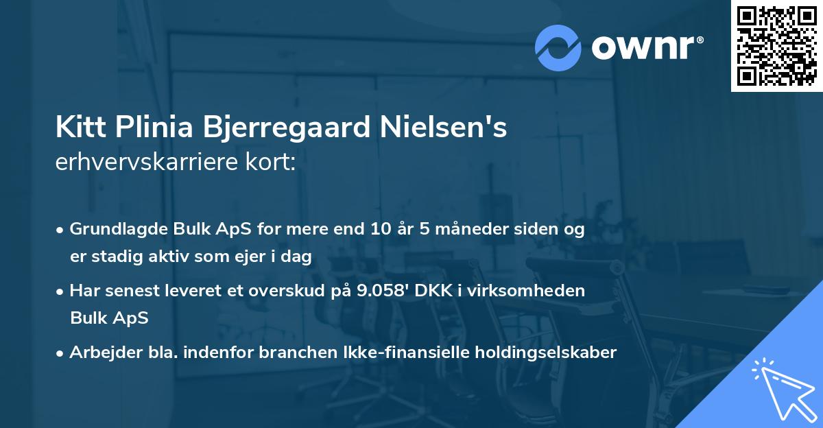 Kitt Plinia Bjerregaard Nielsen's erhvervskarriere kort