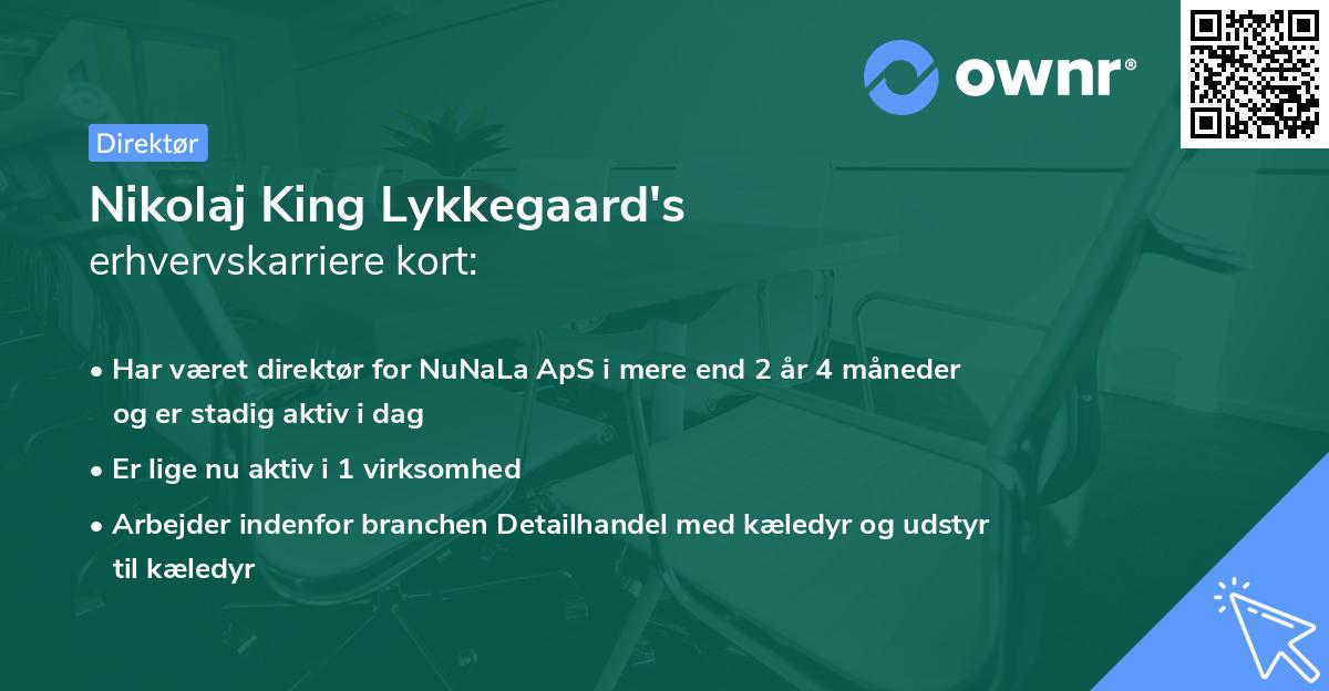 Nikolaj King Lykkegaard's erhvervskarriere kort