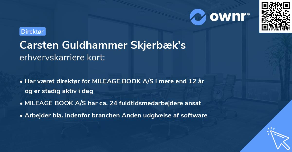 Carsten Guldhammer Skjerbæk's erhvervskarriere kort
