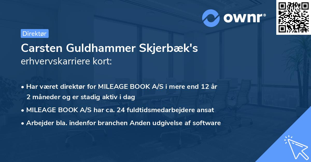 Carsten Guldhammer Skjerbæk's erhvervskarriere kort