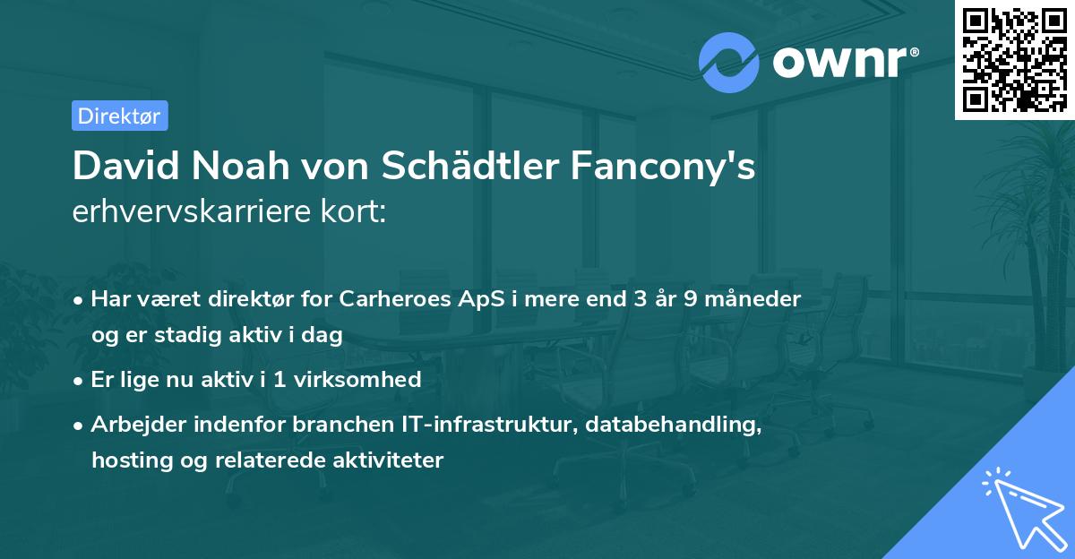 David Noah von Schädtler Fancony's erhvervskarriere kort