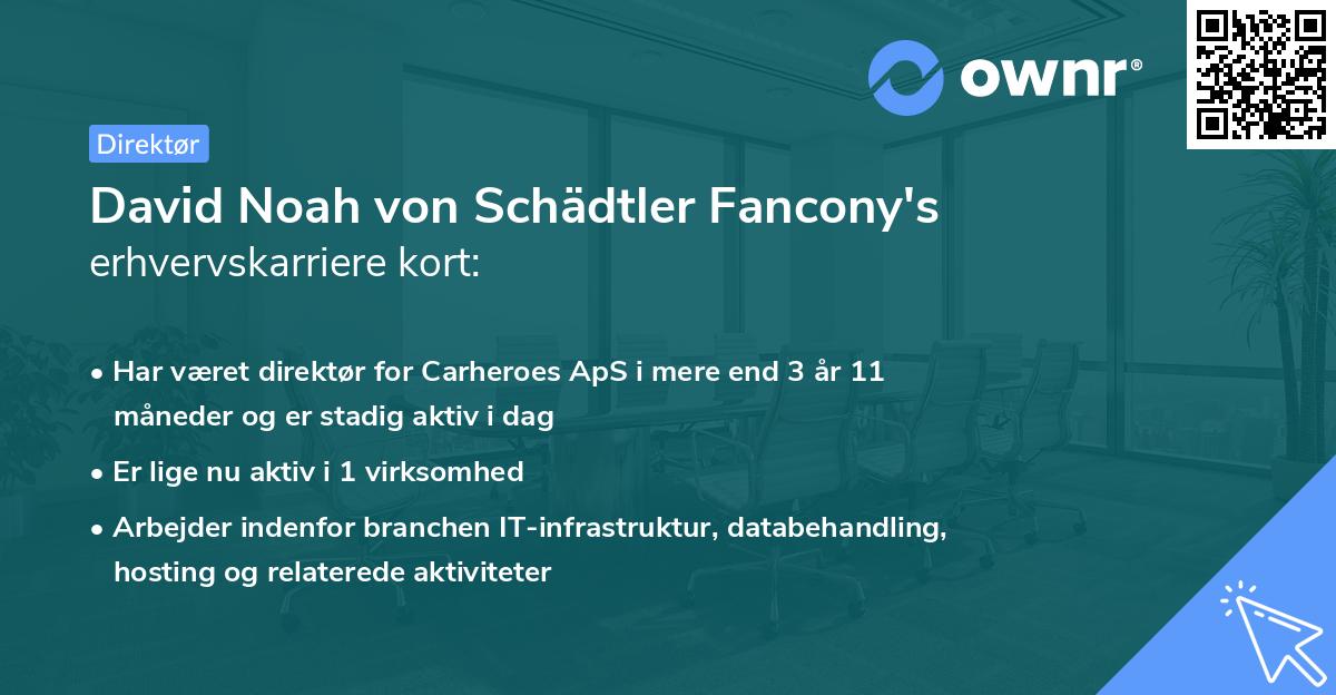 David Noah von Schädtler Fancony's erhvervskarriere kort