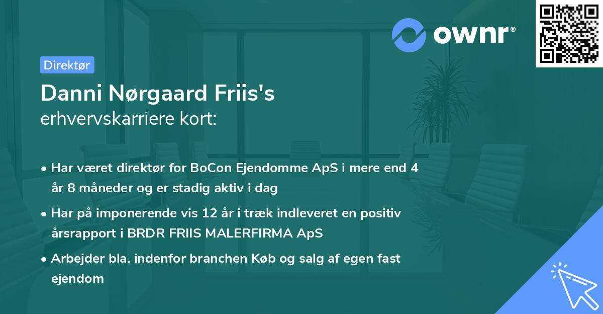 Danni Nørgaard Friis's erhvervskarriere kort