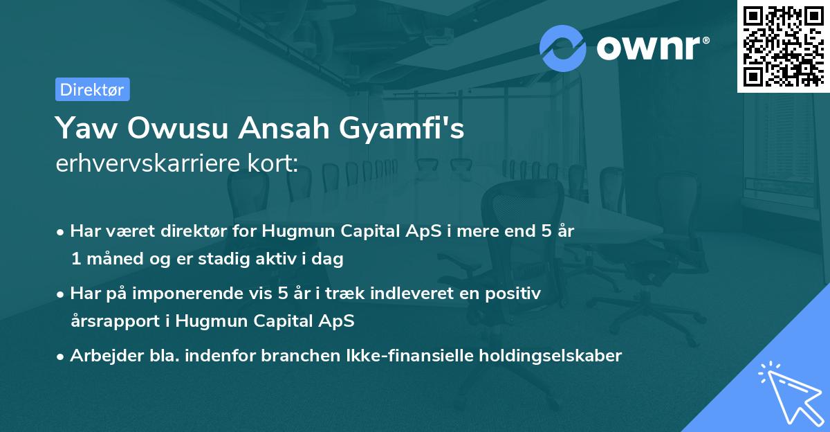 Yaw Owusu Ansah Gyamfi's erhvervskarriere kort