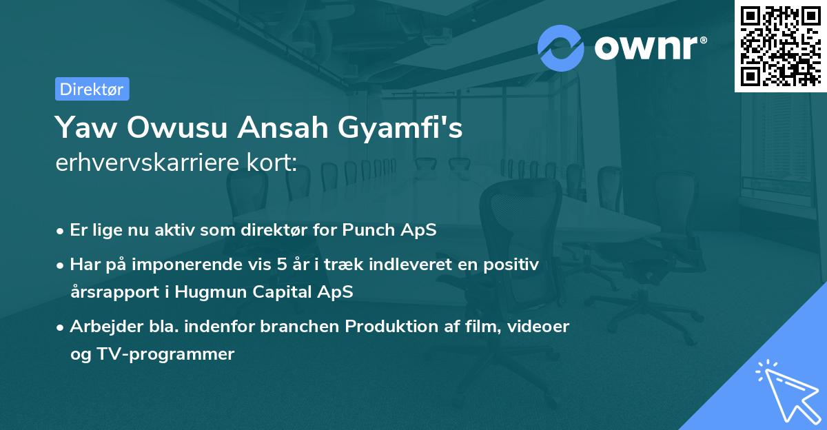 Yaw Owusu Ansah Gyamfi's erhvervskarriere kort