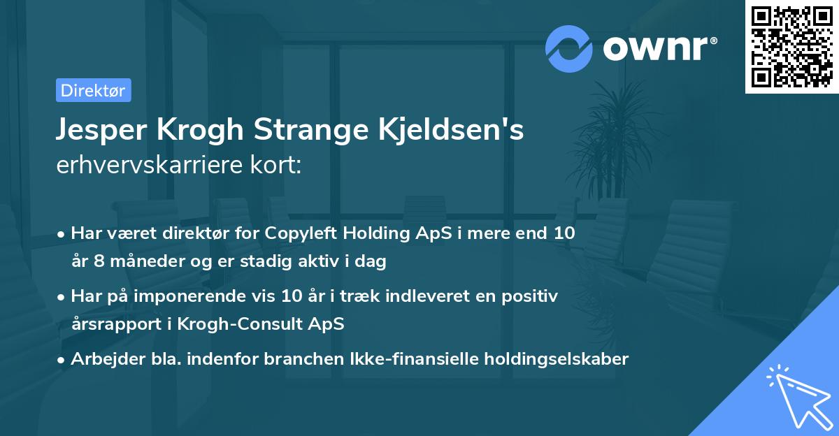 Jesper Krogh Strange Kjeldsen's erhvervskarriere kort