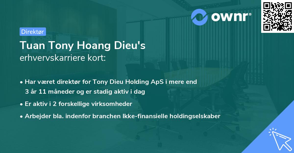 Tuan Tony Hoang Dieu's erhvervskarriere kort