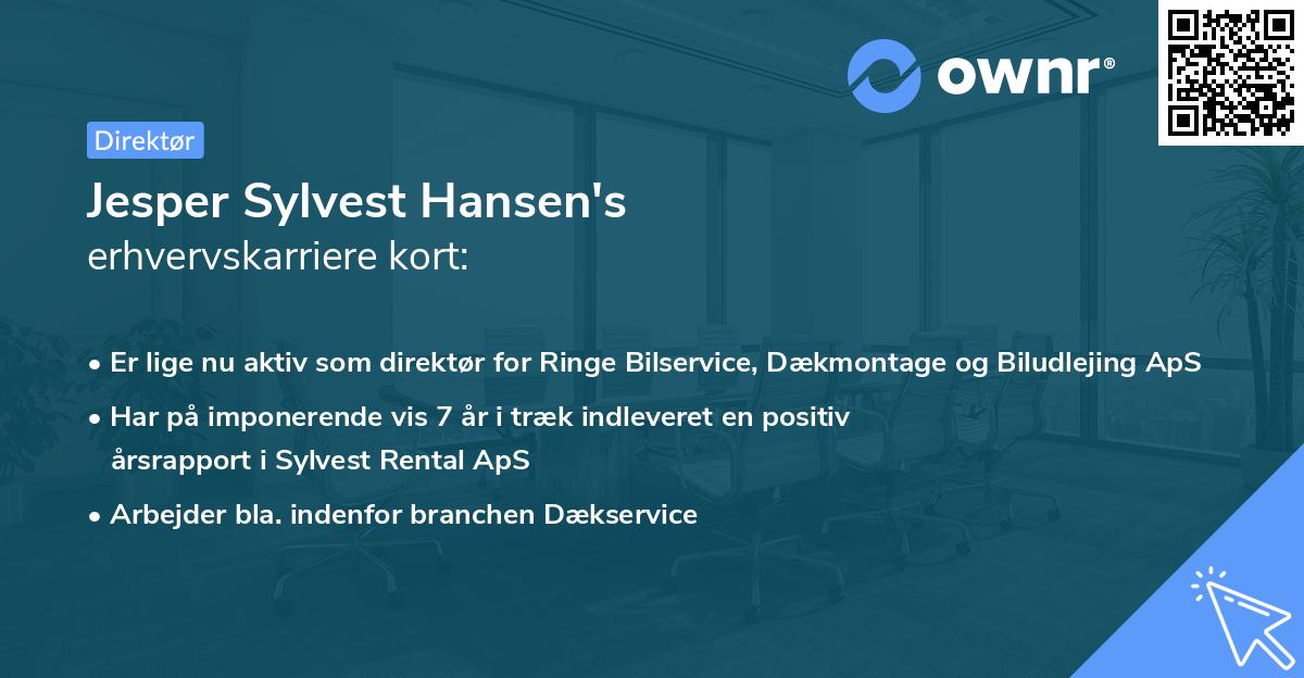 Jesper Sylvest Hansen's erhvervskarriere kort