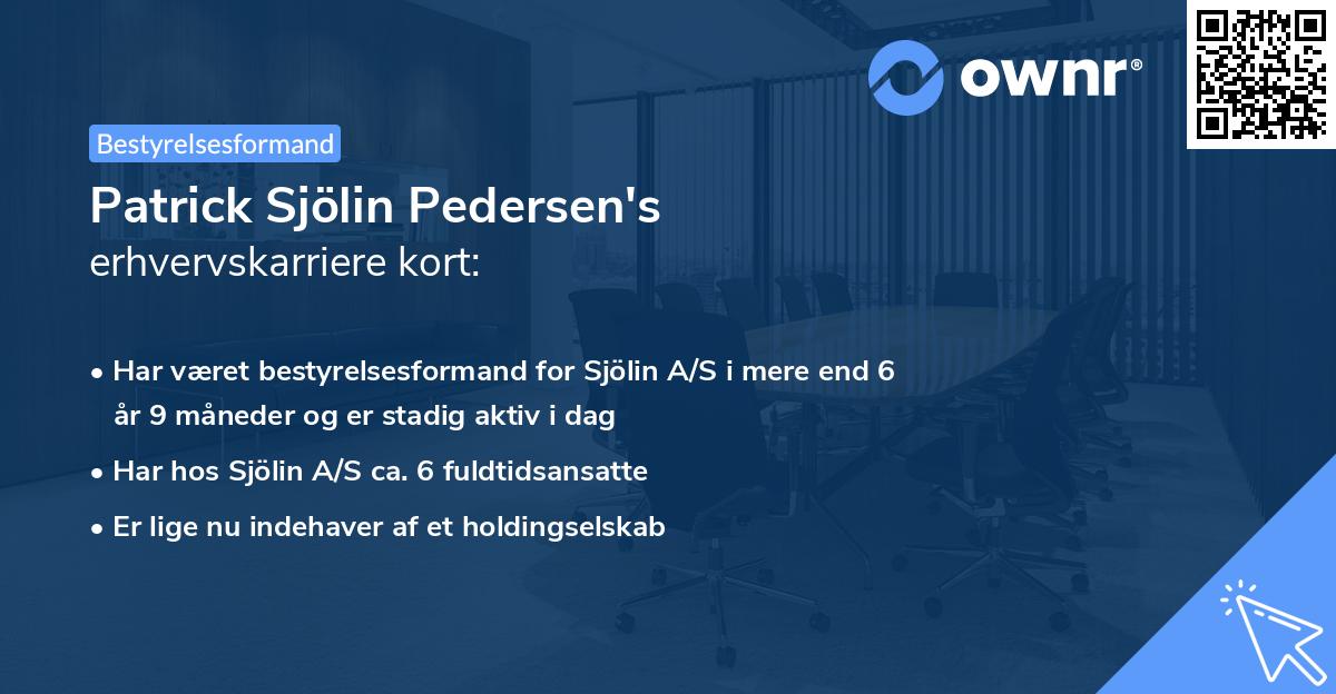 Patrick Sjölin Pedersen's erhvervskarriere kort