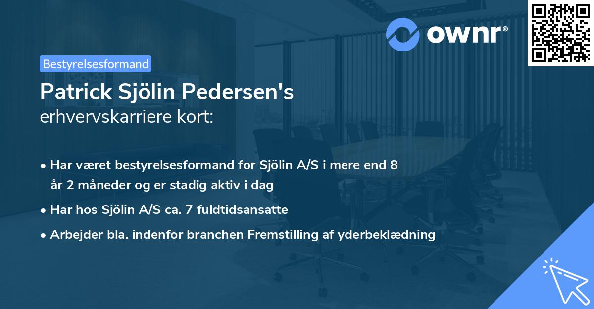 Patrick Sjölin Pedersen's erhvervskarriere kort