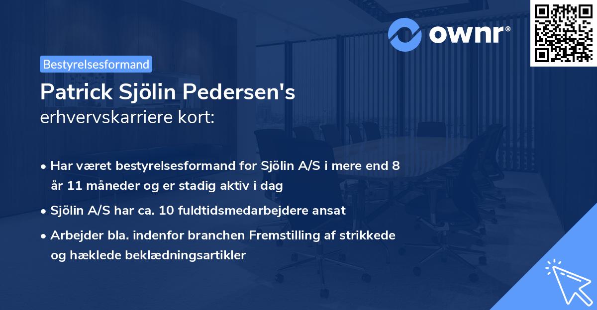 Patrick Sjölin Pedersen's erhvervskarriere kort