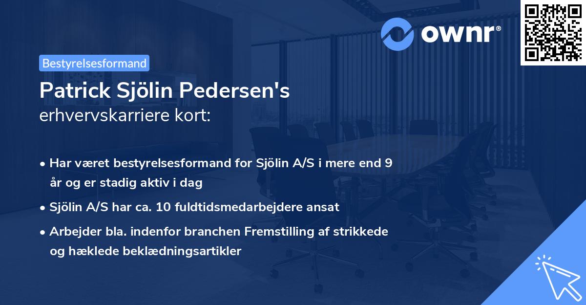 Patrick Sjölin Pedersen's erhvervskarriere kort