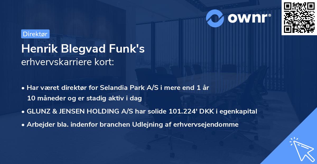 Henrik Blegvad Funk's erhvervskarriere kort