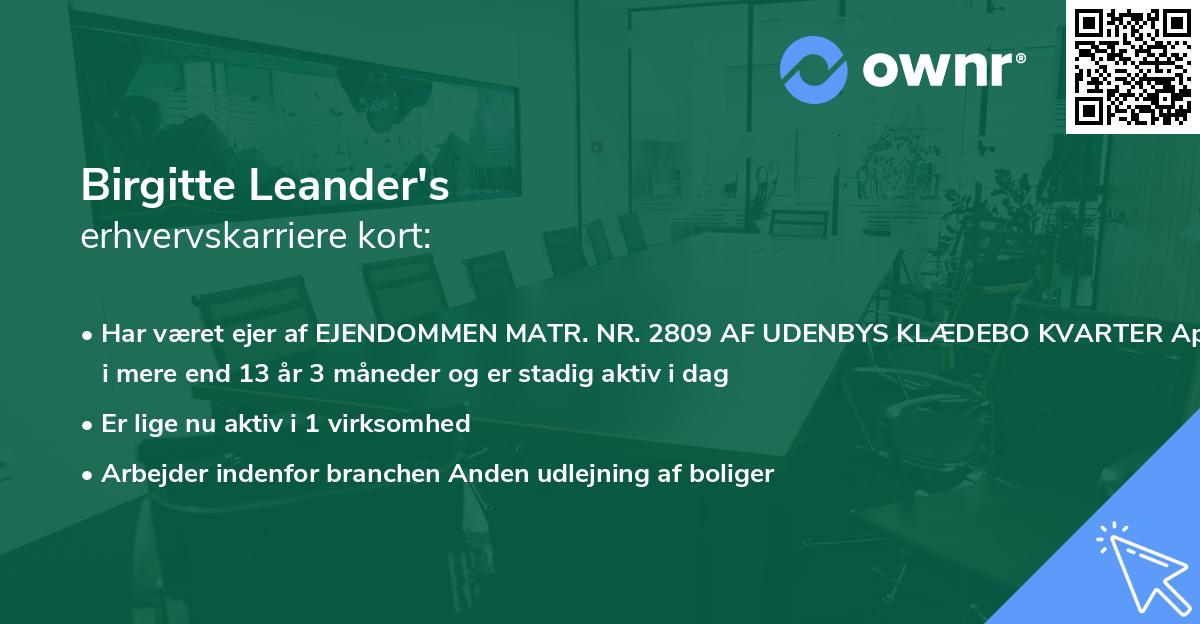 Birgitte Leander's erhvervskarriere kort