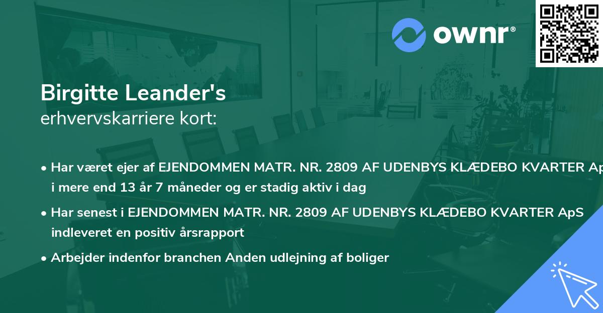 Birgitte Leander's erhvervskarriere kort