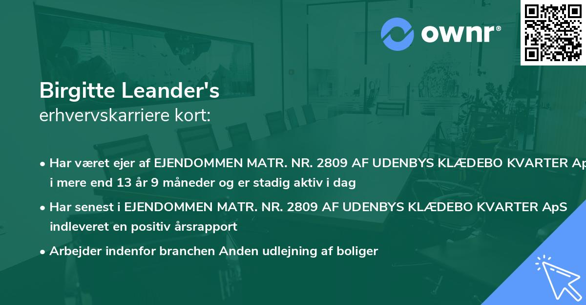 Birgitte Leander's erhvervskarriere kort