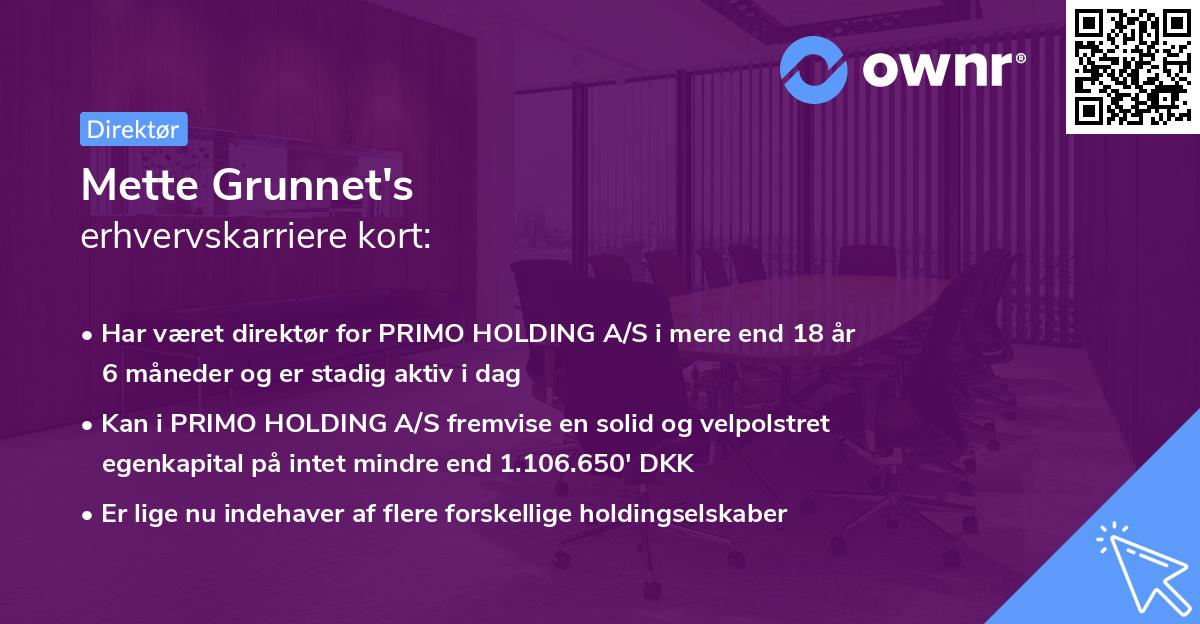 Mette Grunnet's erhvervskarriere kort