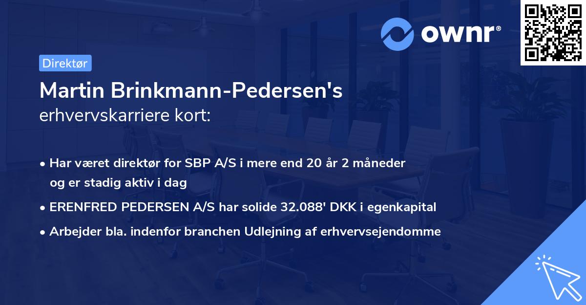 Martin Brinkmann-Pedersen's erhvervskarriere kort