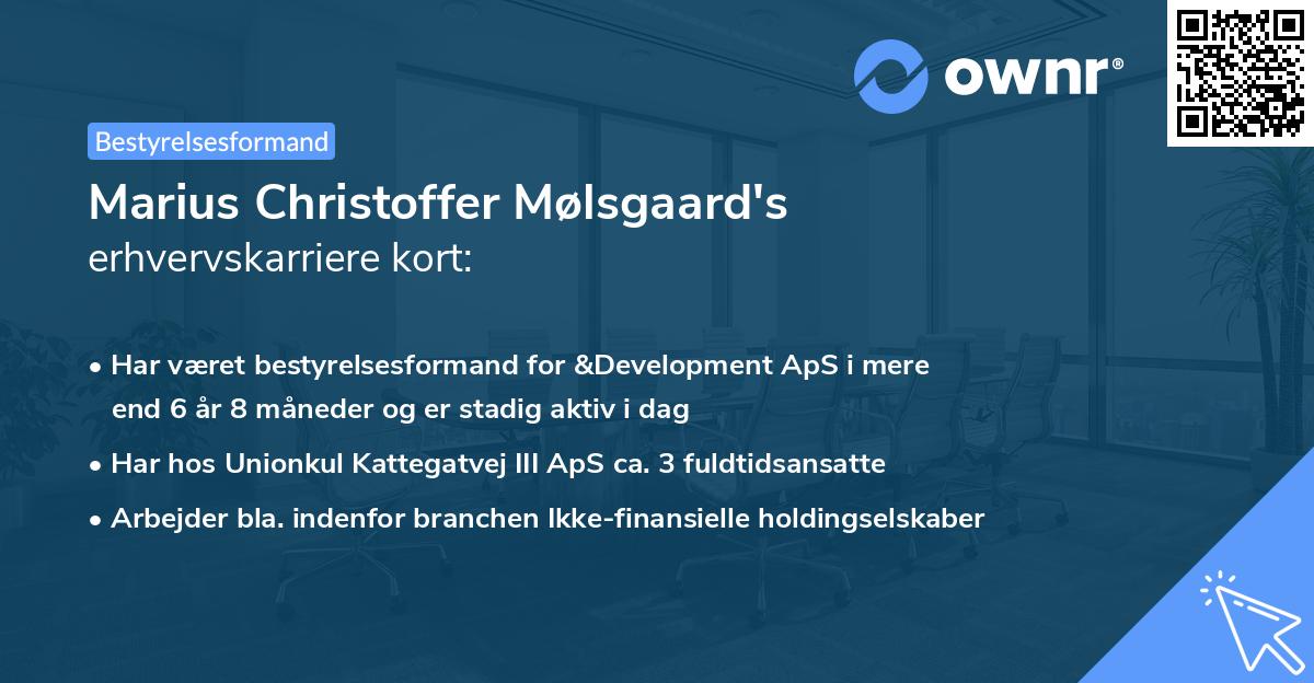 Marius Christoffer Mølsgaard's erhvervskarriere kort