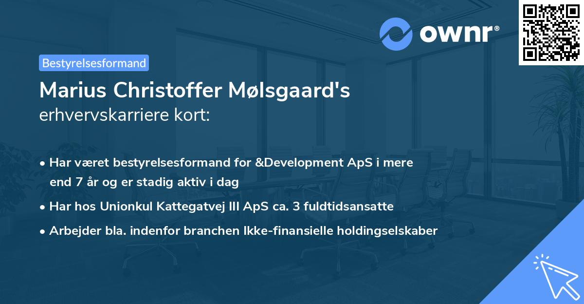 Marius Christoffer Mølsgaard's erhvervskarriere kort