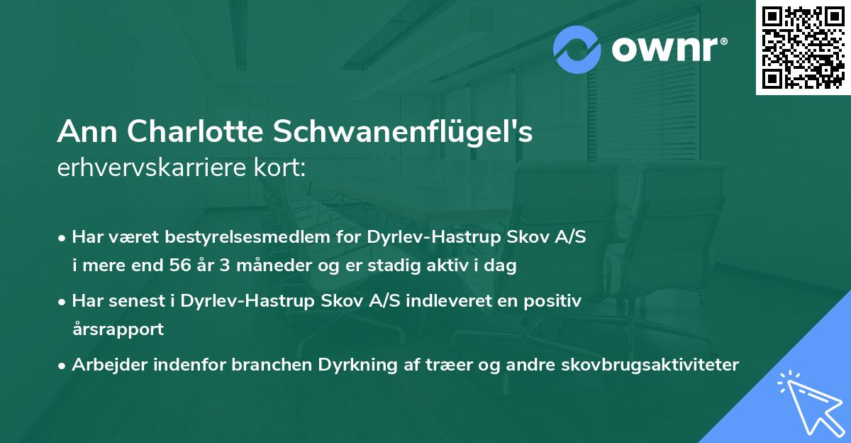 Ann Charlotte Schwanenflügel's erhvervskarriere kort