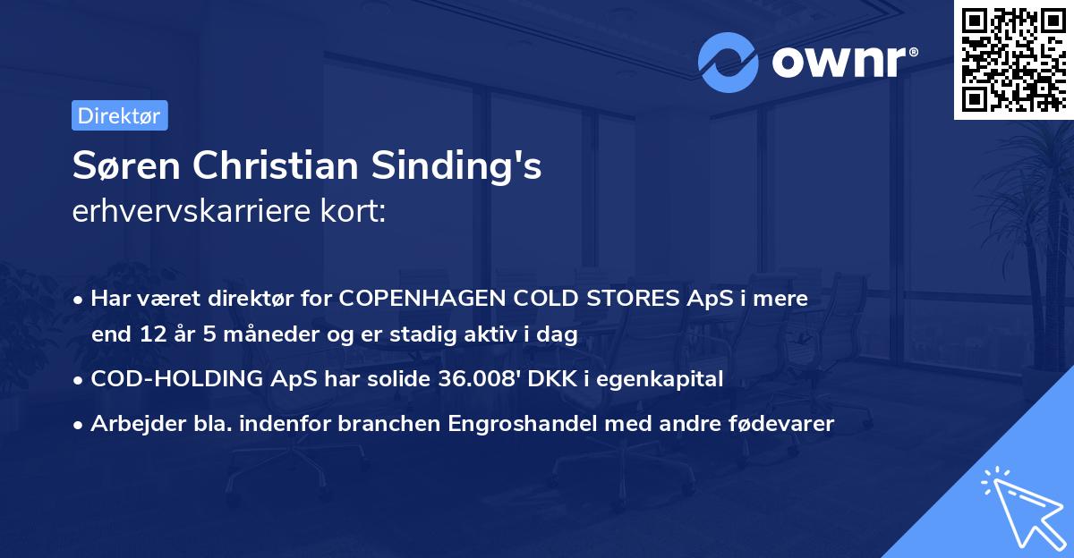 Søren Christian Sinding's erhvervskarriere kort