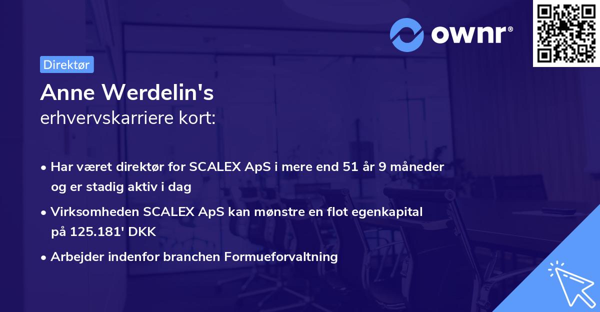 Anne Werdelin's erhvervskarriere kort