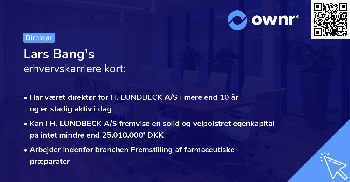 Lars Bang's erhvervskarriere kort