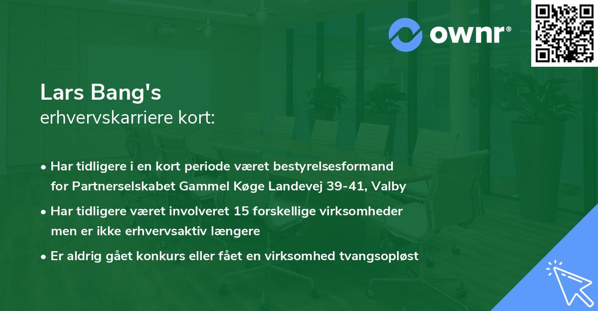 Lars Bang's erhvervskarriere kort